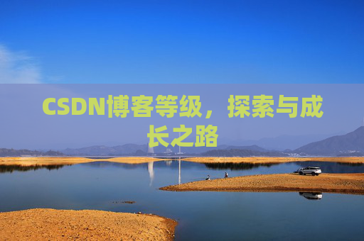 CSDN博客等级，探索与成长之路